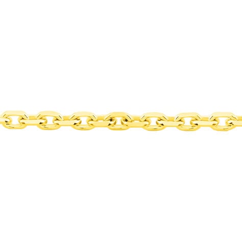 Damen Ankerkette Gold 585  - Halsketten Unisex | OROVIVO