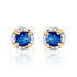 ODARIKE Damen Ohrstecker Gold 585 (14 Karat) Saphir Blau 0,7 ct Kreis