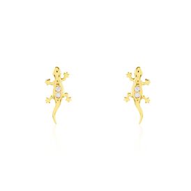 Damen Ohrstecker Gold 375 Zirkonia Salamander - Ohrstecker Damen | OROVIVO