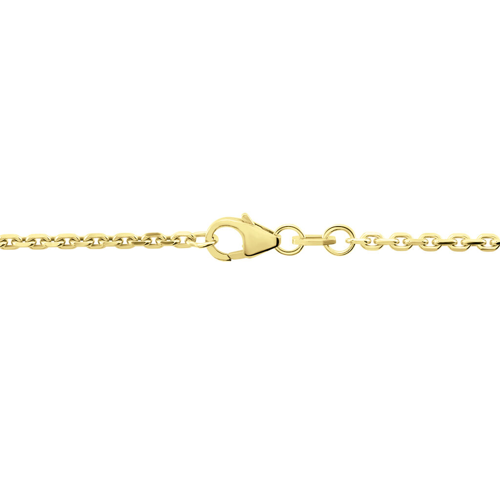 Unisex Ankerkette Gold 375 Diamantiert  - Halsketten Unisex | OROVIVO