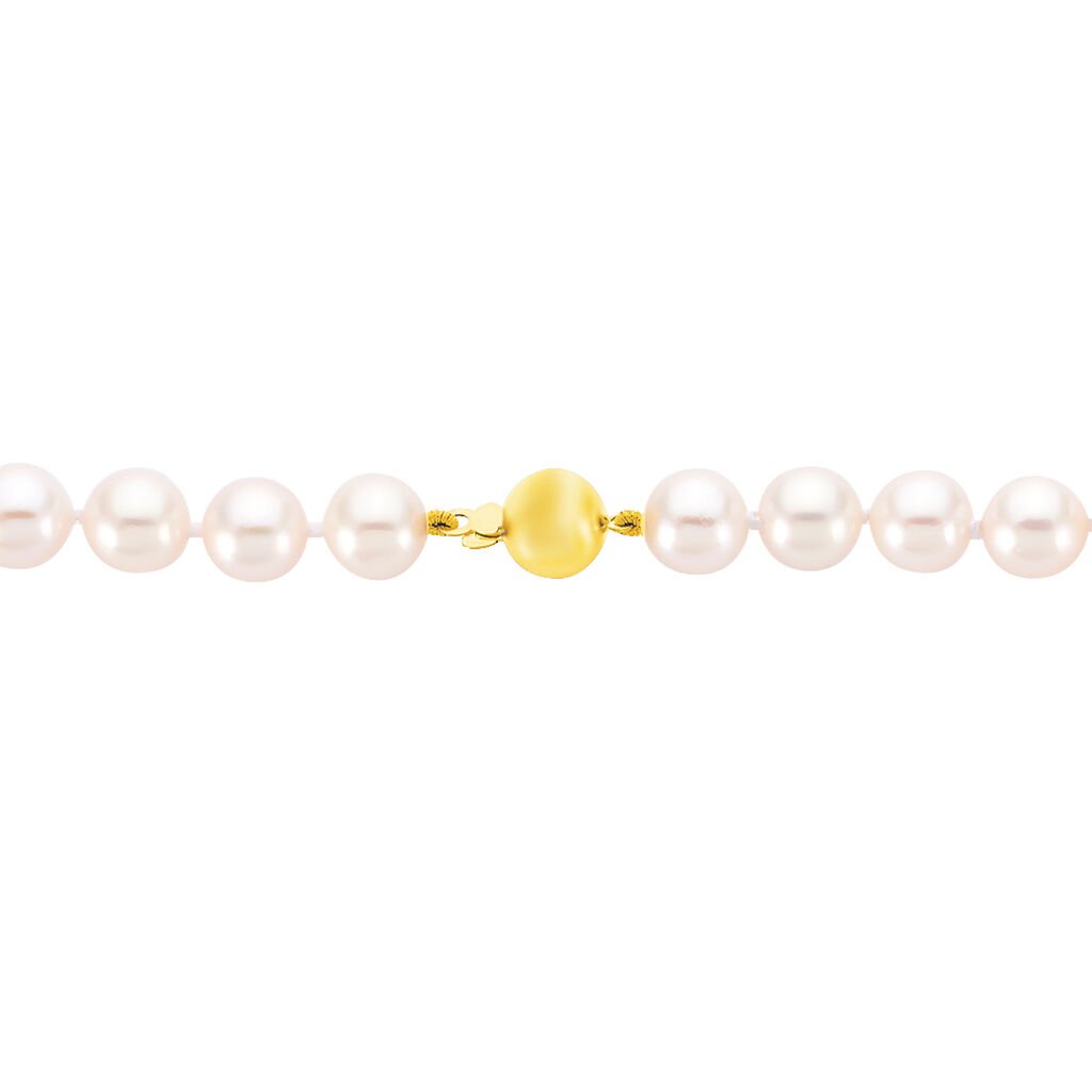 Damen Collier Gold 585 Akoyaperlen 7-7,5mm - Halsketten Damen | OROVIVO