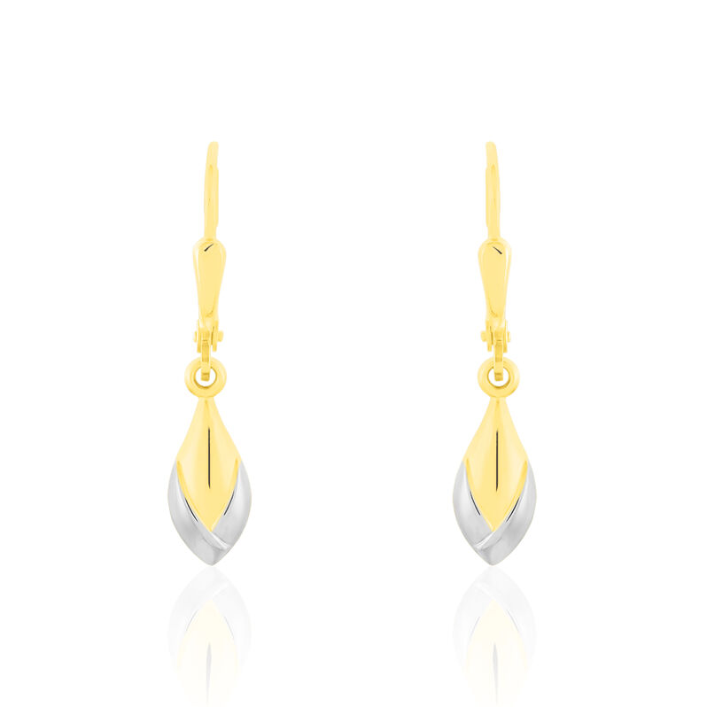 Damen Ohrhänger Gold 333 Bicolor - Ohrhänger Damen | OROVIVO