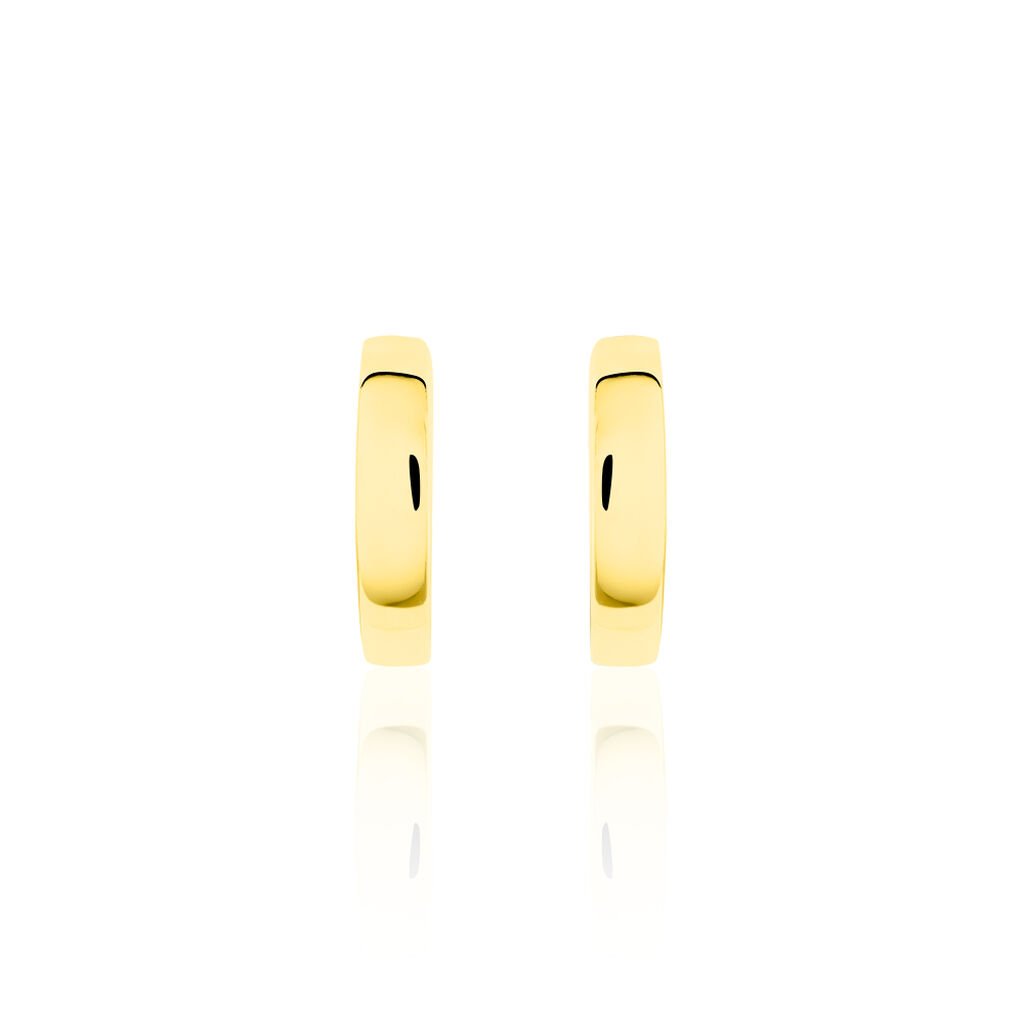 Damen Creolen Gold Bicolor 333 (8 Karat)