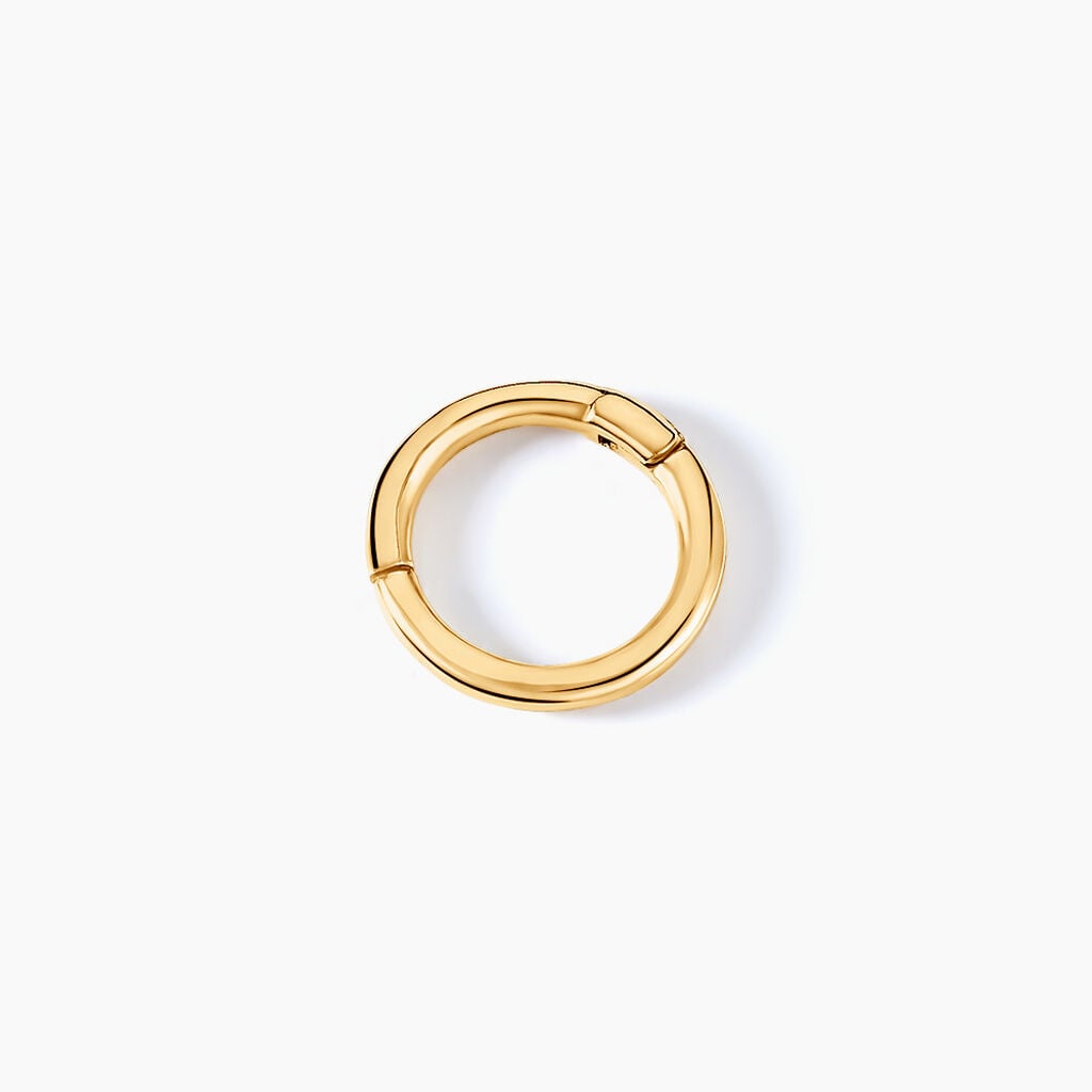 Piercing D'oreille Unitaire Aloes Or Jaune